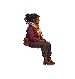 traveler